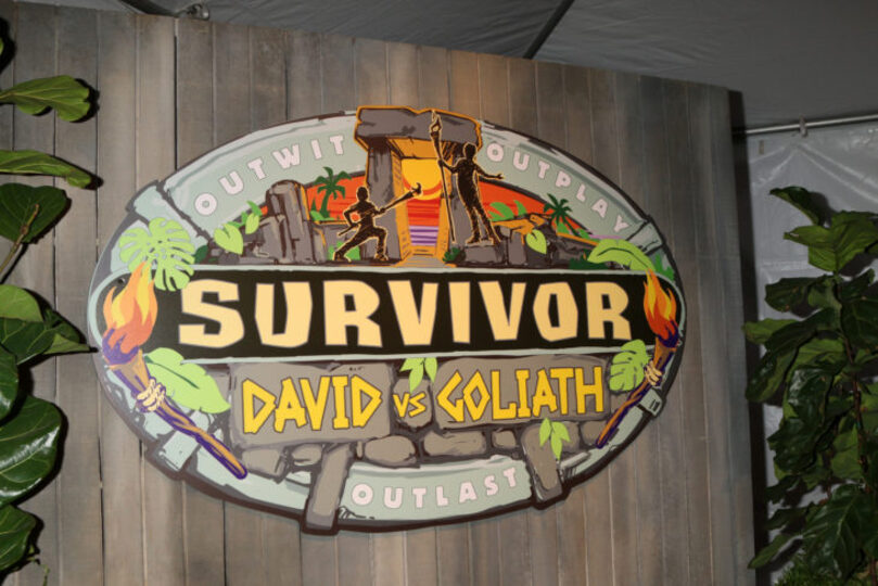 Survivor: David vs Goliath