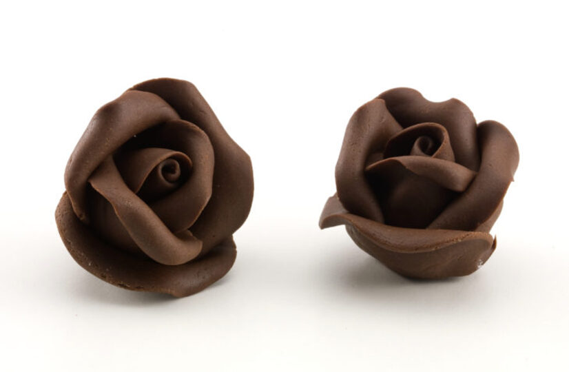 Chocolate Roses