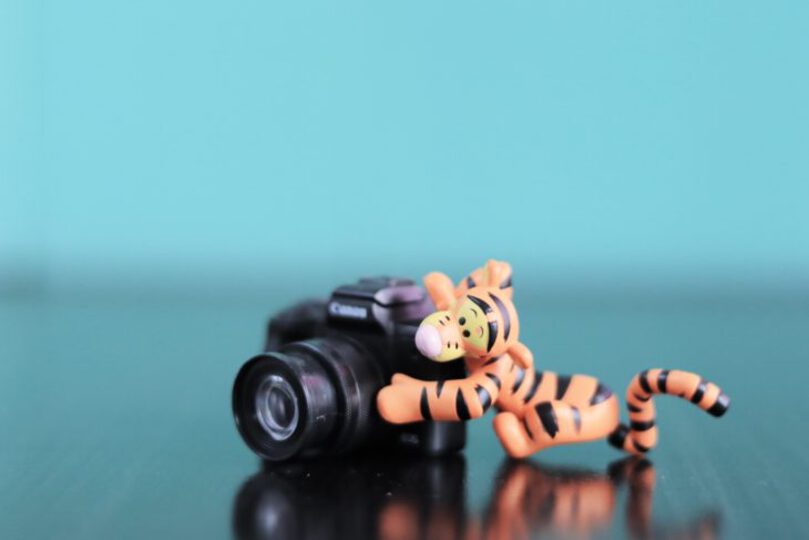 Tigger figurine with a camera