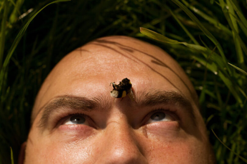 Teen Adopts Bee As A Pet After Rescuing It