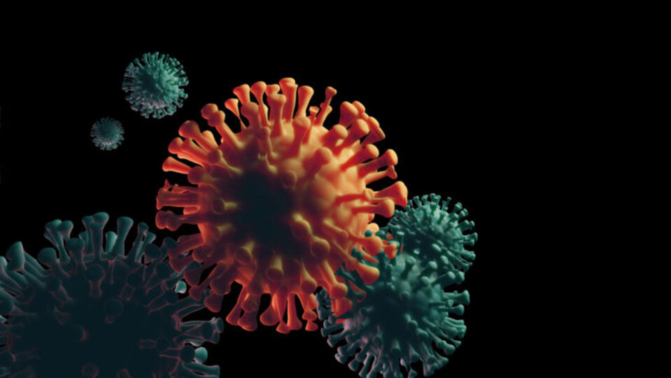 Colored illustration of coronavirus cell