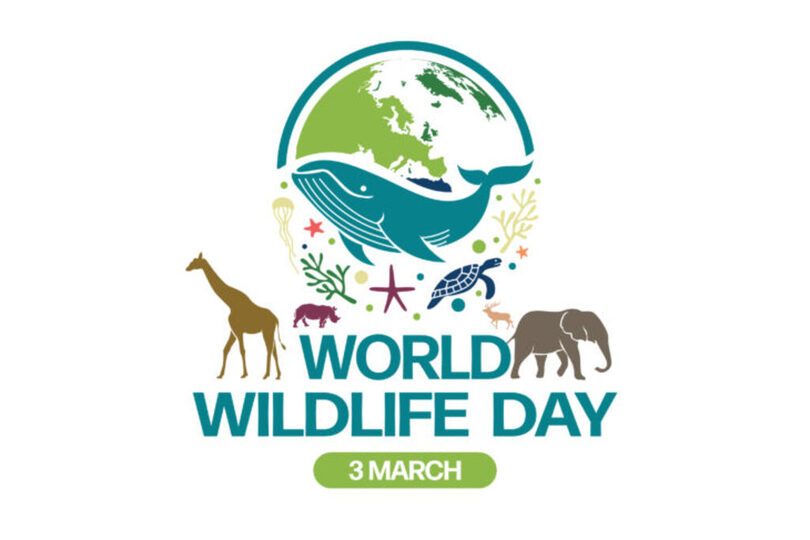 World Wildlife Day 3rd March Text With Animated Animals and Earth